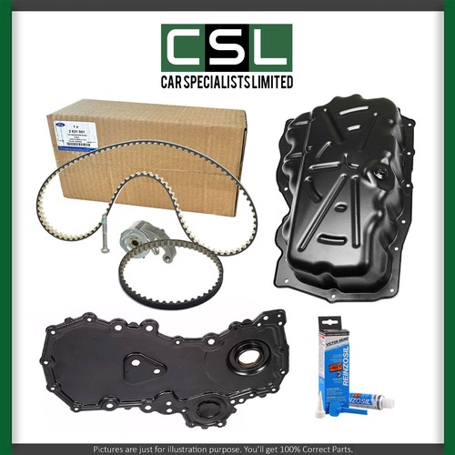 Kit cinghia bagnata - cinghia,